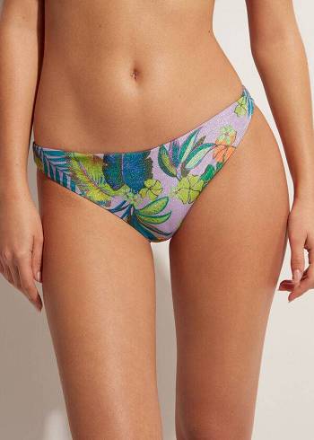 Calzedonia Brasilia Bikini Altları Kadın Mor | TR2887OR