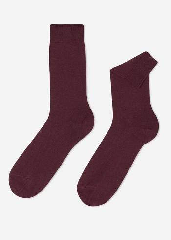 Calzedonia Crew with Cashmere Çorap Erkek Bordo | TR1350QZ