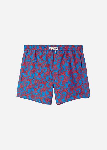 Calzedonia Formentera Spor Şort Mayo Erkek Mavi Turuncu | TR1245MA
