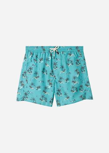 Calzedonia Formentera Spor Şort Mayo Erkek Yeşil | TR1247WY