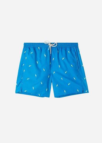 Calzedonia Formentera Şort Mayo Erkek Mavi Gri | TR1252UT