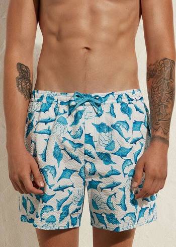 Calzedonia Formentera Şort Mayo Erkek Turkuaz Beyaz | TR1271MA