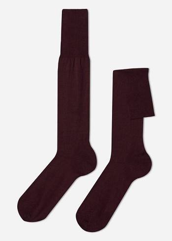 Calzedonia Lisle Thread Long Çorap Erkek Bordo | TR1430EX