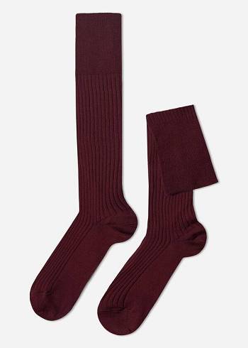 Calzedonia Lisle Thread Nervürlü Long Çorap Erkek Bordo | TR1438AP