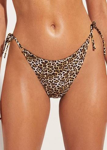 Calzedonia String Malindi Bikini Altları Kadın Kahverengi | TR2588BC